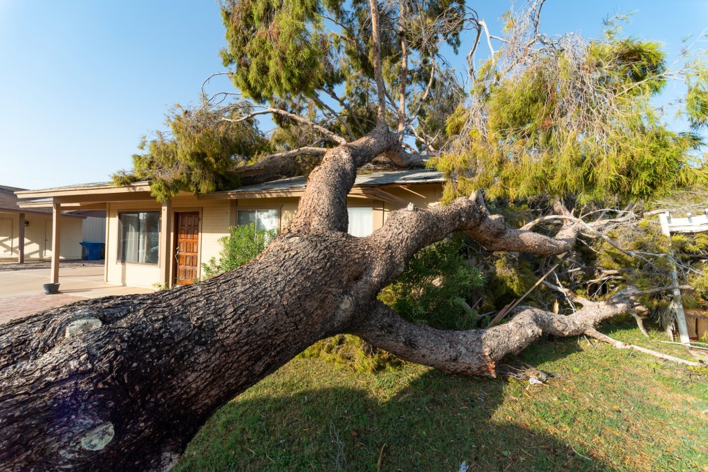 How rare was that destructive Tempe microburst? What to know