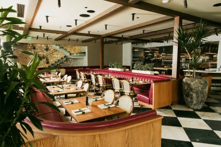 Buck & Rider team readies Pinyon in Scottsdale