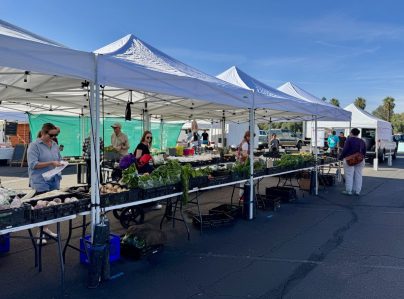 Valley farmers markets shift to summer hours