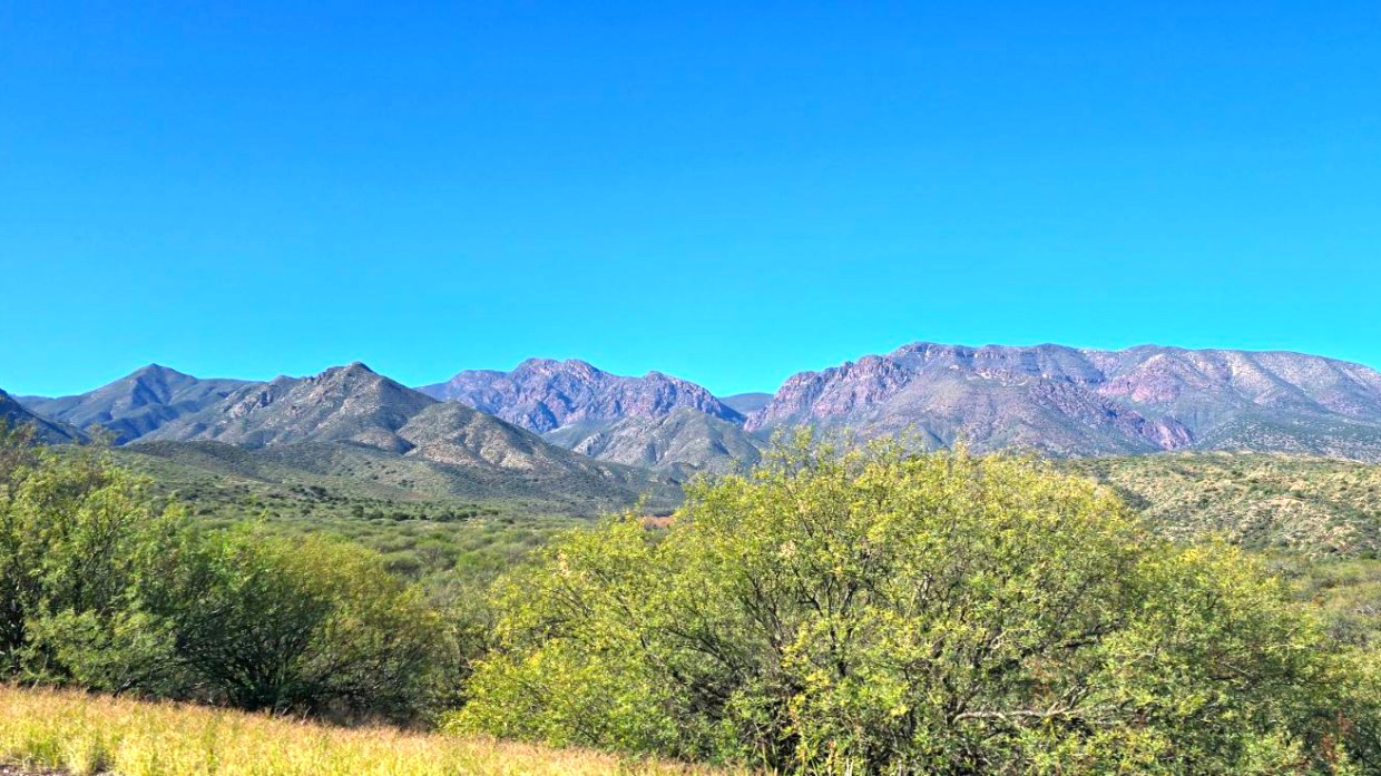 mountains in arizona covered in green undergrowth