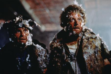'Home Alone' Wet Bandits are medical miracles