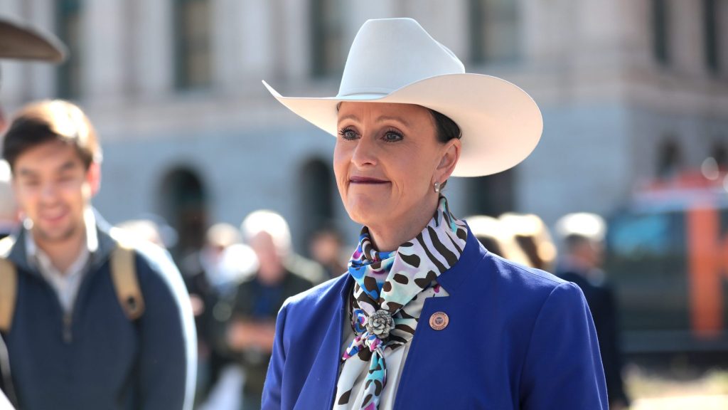 state sen. janae shamp in a white cowboy hat