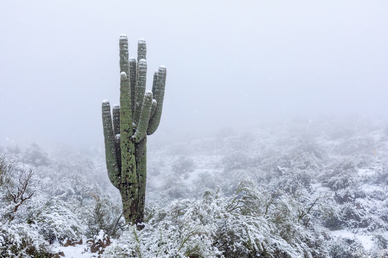 Could it ever snow on Christmas in Phoenix?