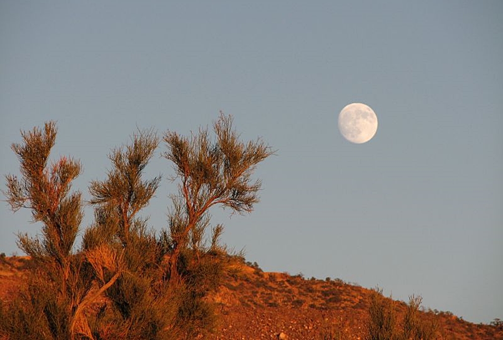 The moon over an Arizona desert mountain.
