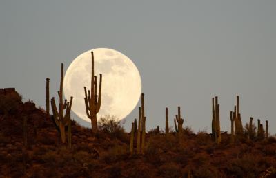 How to see July’s full moon in Arizona