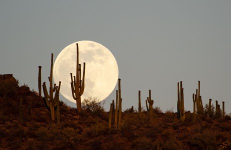 December supermoon: When to see in AZ on Thursday
