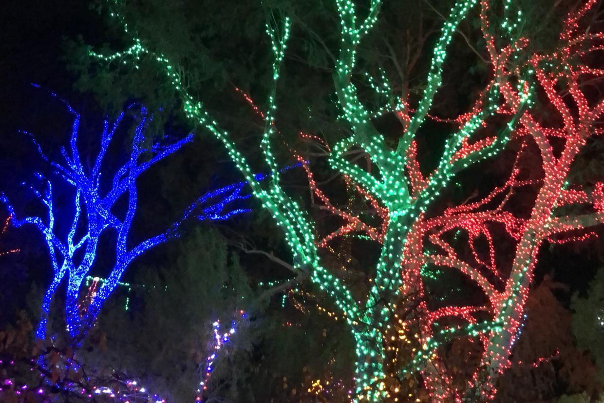 These holiday attractions are still open around Phoenix