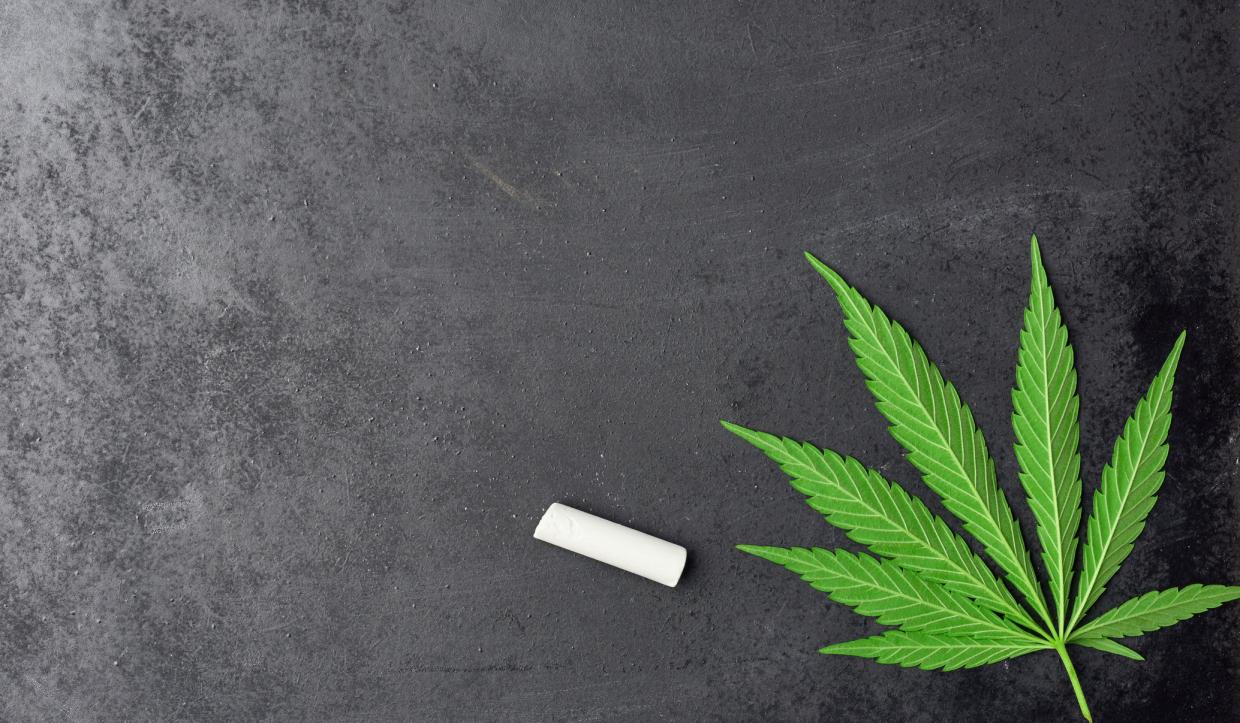 a cannabis leaf on a chalkboard