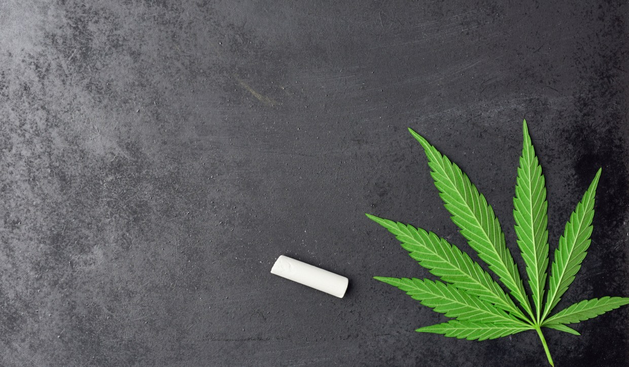 a cannabis leaf on a chalkboard