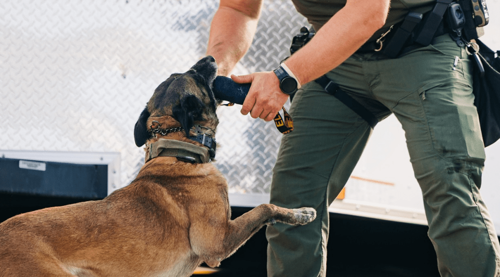 a police dog