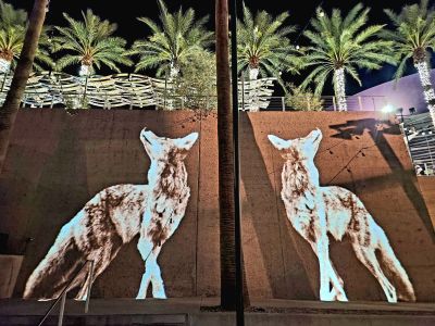 Photos: Alt Fest at Mesa Arts Center lit up the night