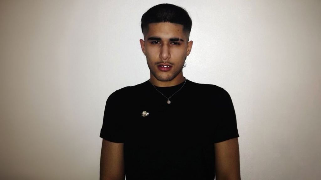 fakemink: a Terrible Beauty. – The Tour