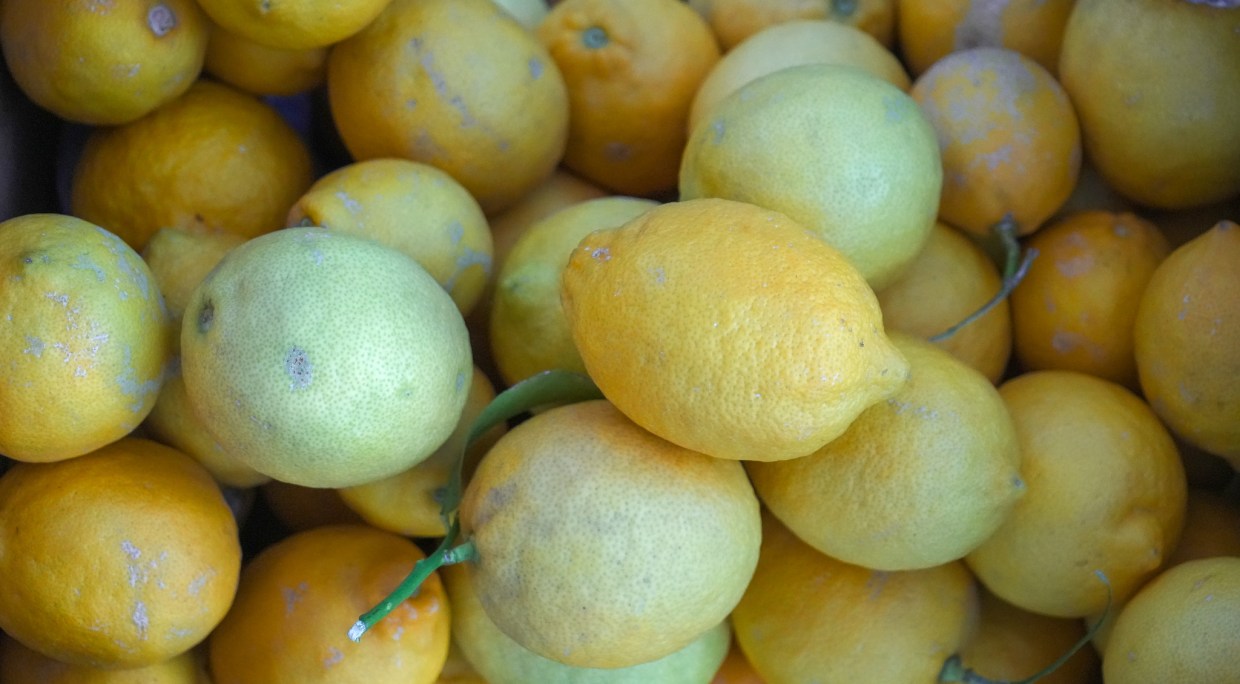 a bunch of lemons in a box