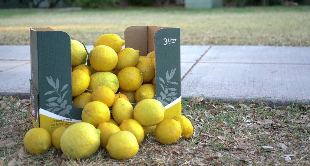 lemons in a box outside a phoenix home