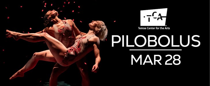 Prepare to be Amazed: The Magic of Pilobolus at TCA