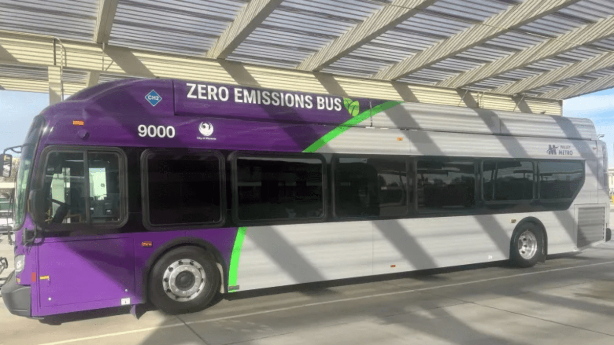 a purple, green and gray phoenix bus that says "zero emissions bus"