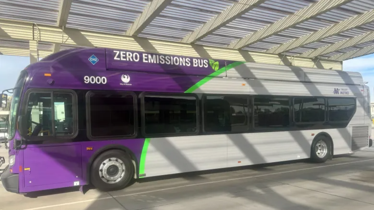 a purple, green and gray phoenix bus that says "zero emissions bus"