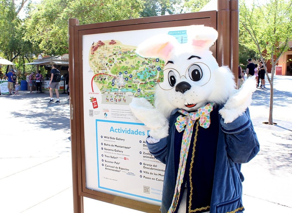 An Easter bunny stands next to a large map at the Phoenix Zoo.