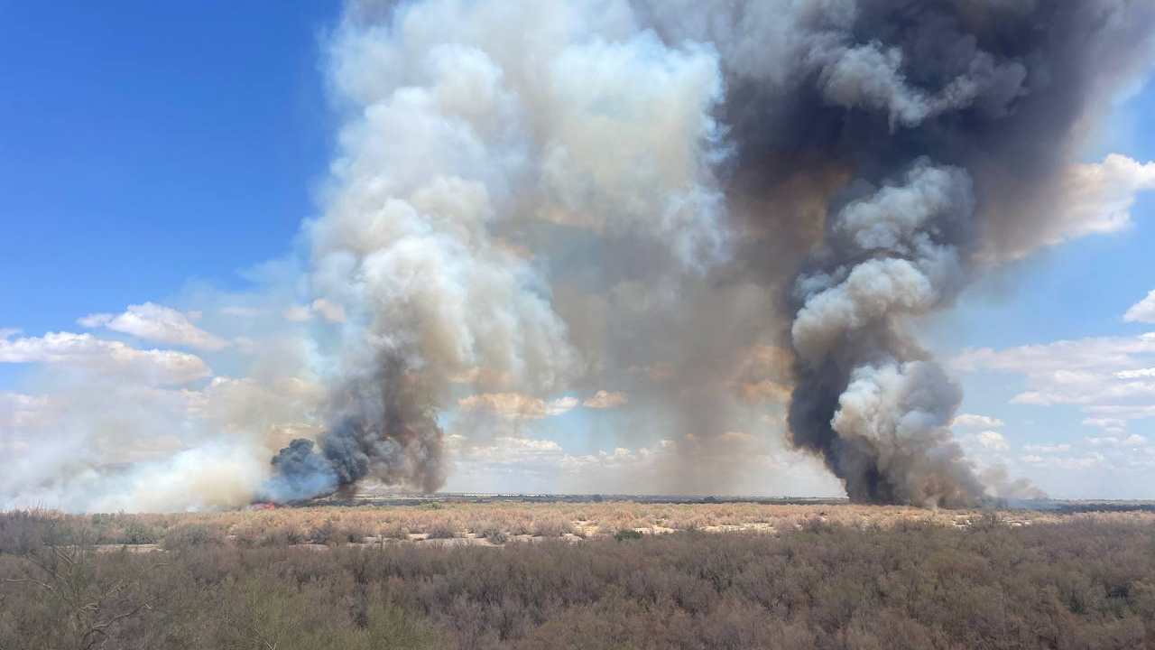 smoke billows up from a field