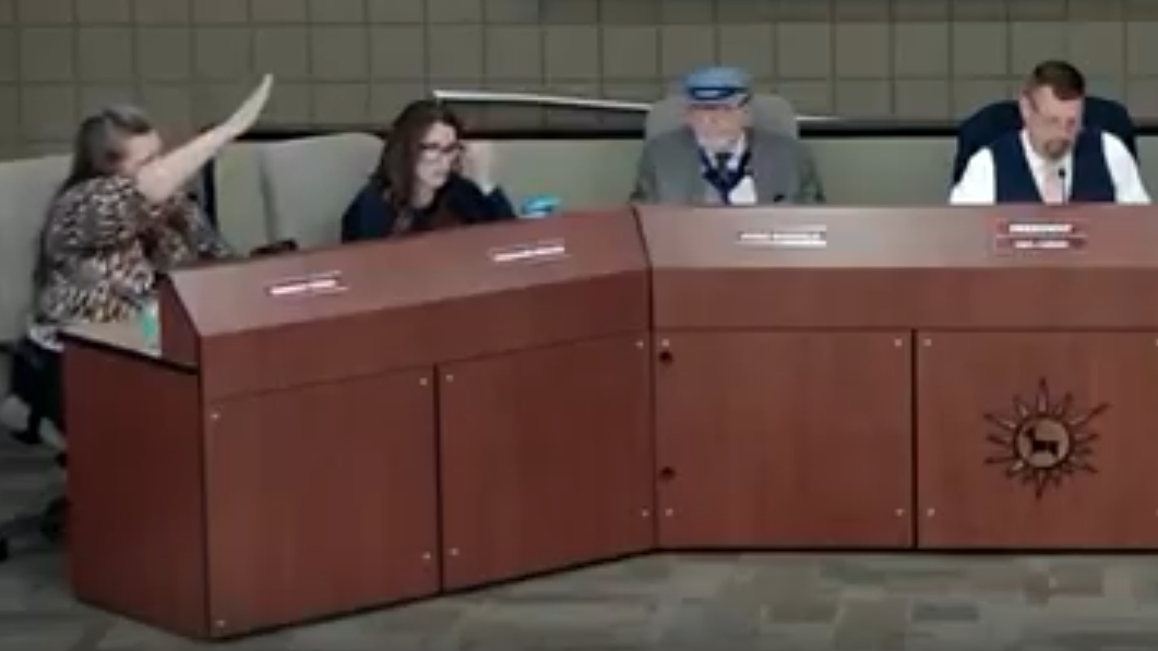 people at a board meeting. a woman on a right gives a nazi salute