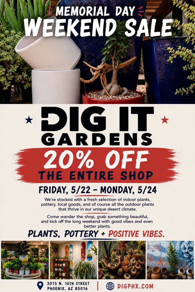 Good Vibes + 20% Off 🌵 Only at Dig It Gardens This Weekend