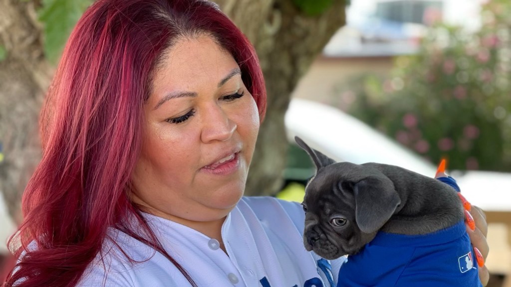 anna hernandez and a french bulldog puppy