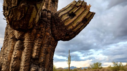 Arizona drying up faster than any other state