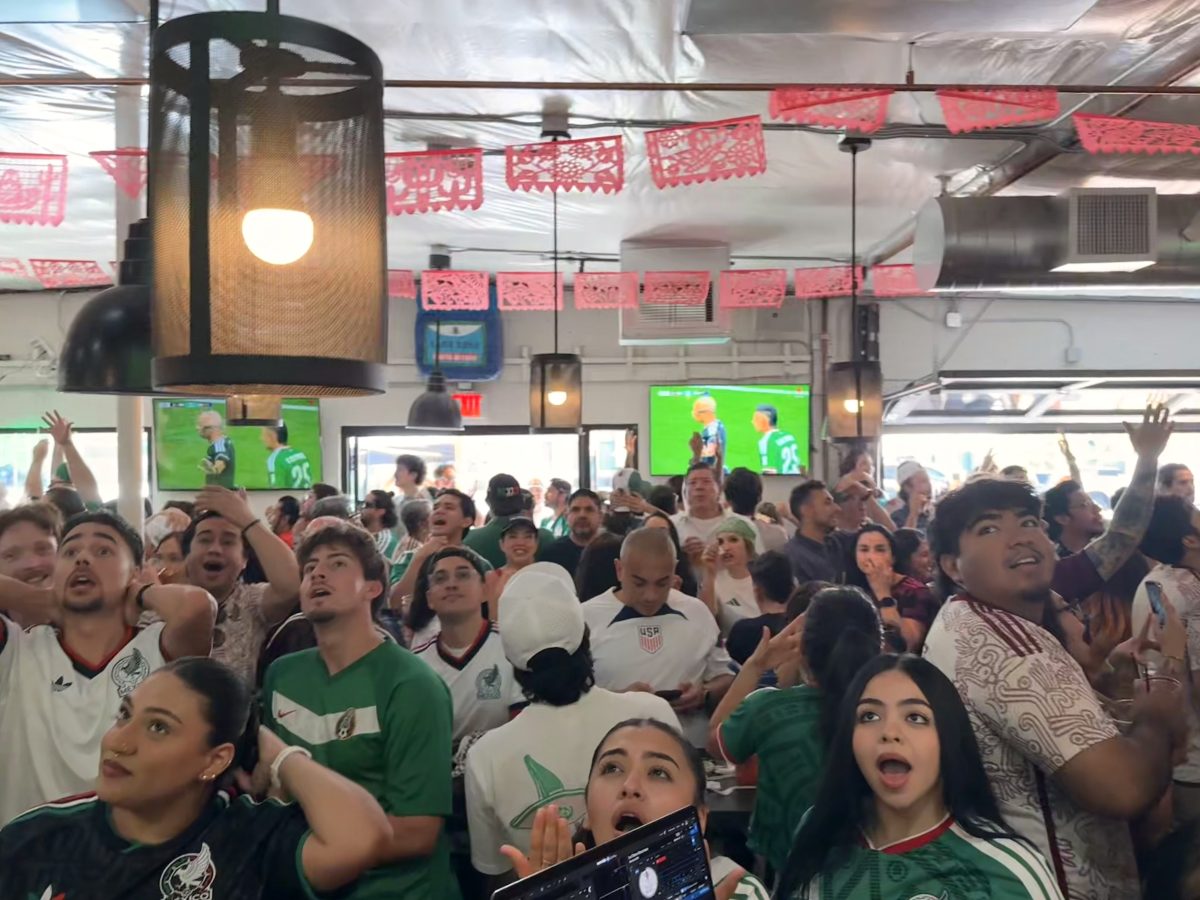 Mexico soccer fans at Sana Sana react to a play during the World Cup.