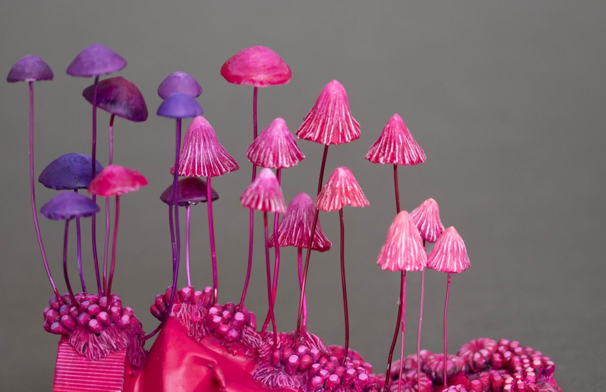 Game of Shrooms art hunt happens in Phoenix this weekend