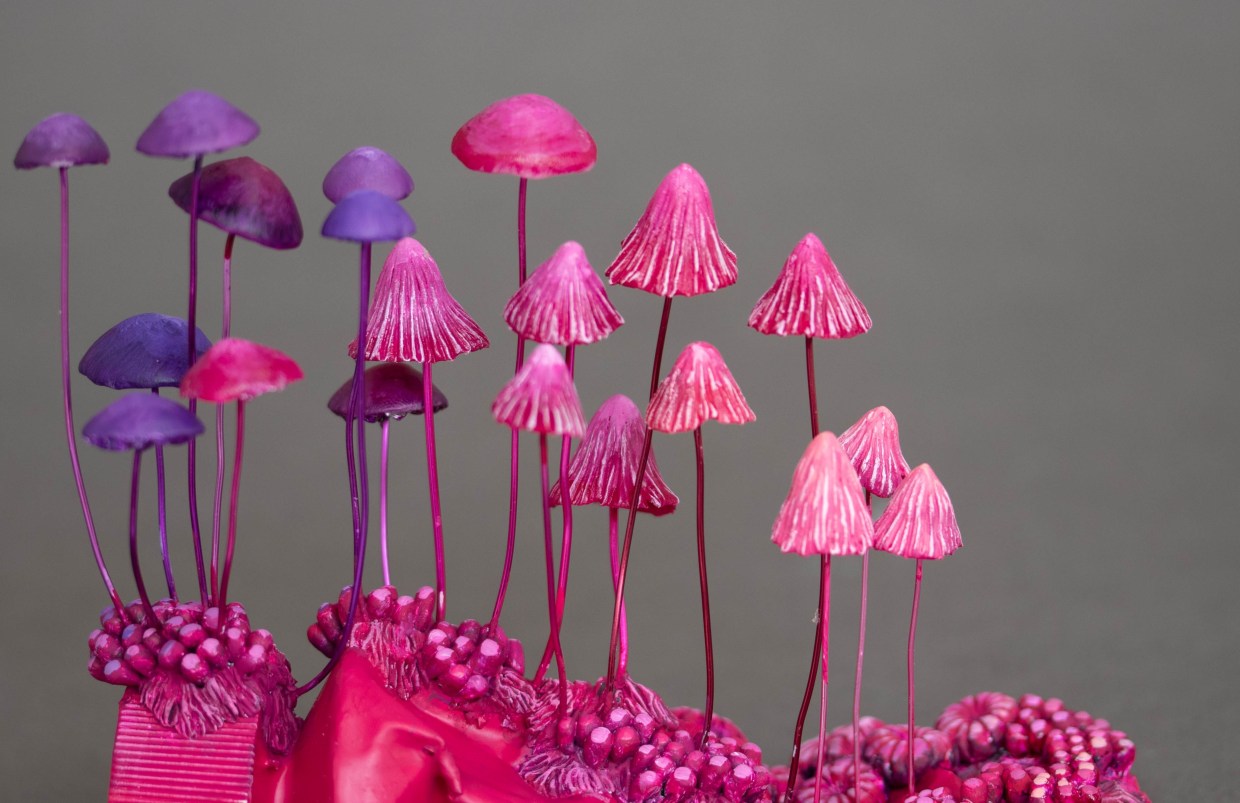 Game of Shrooms art hunt happens in Phoenix this weekend