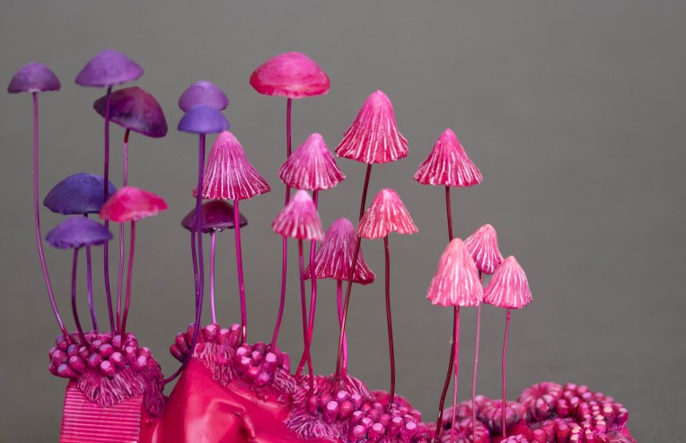 Game of Shrooms art hunt happens in Phoenix this weekend