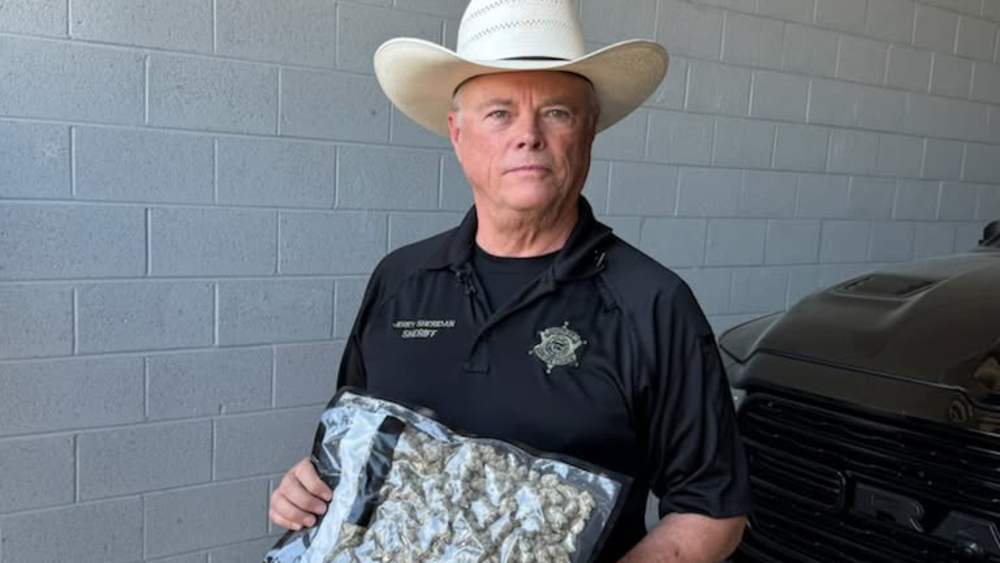 Lawsuit: Sheriff’s big ‘illegal’ weed bust actually hit legal growers