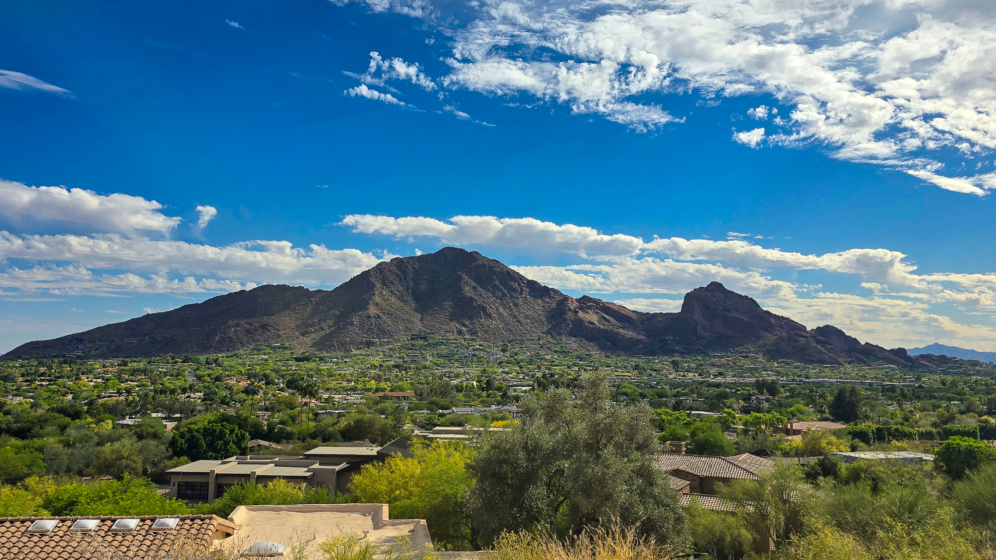 camelback mountain in the background, with residential homes in the foreground