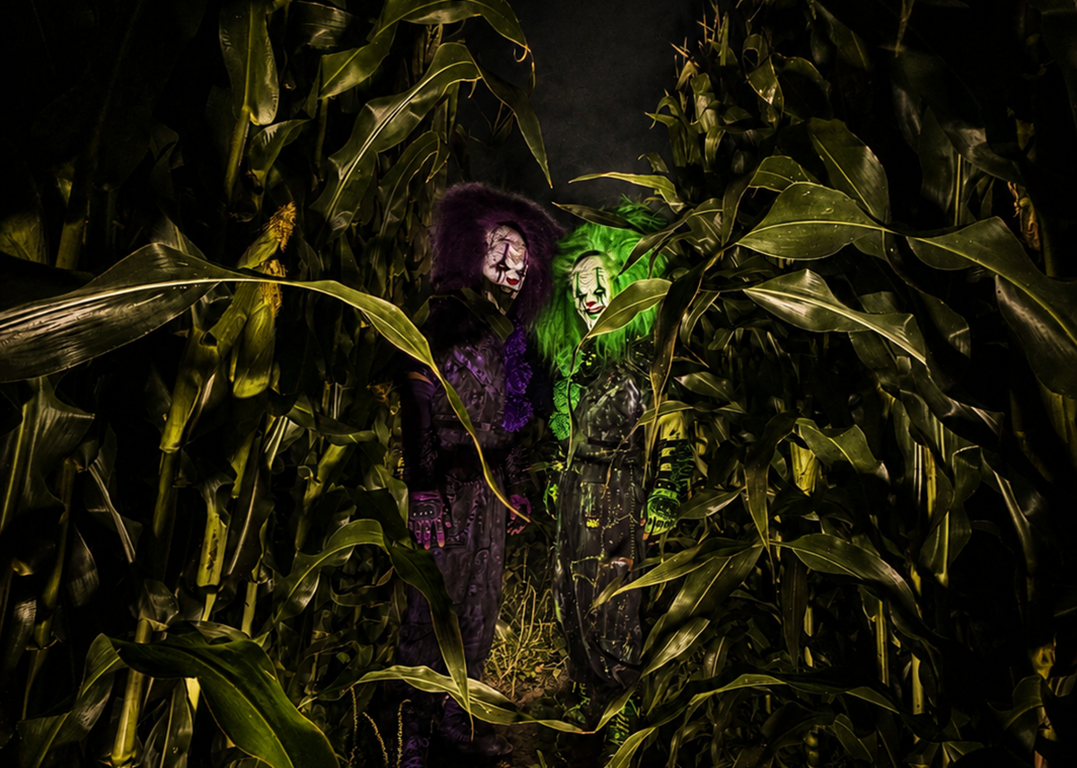 Two evil clowns lurk in a darkened and haunted corn field.