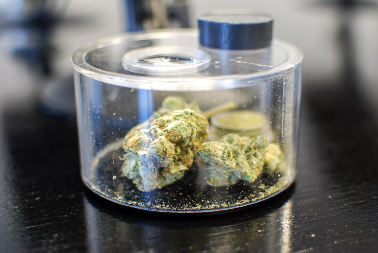 State Audit Finds That Regulators Aren’t Inspecting Marijuana Kitchens
