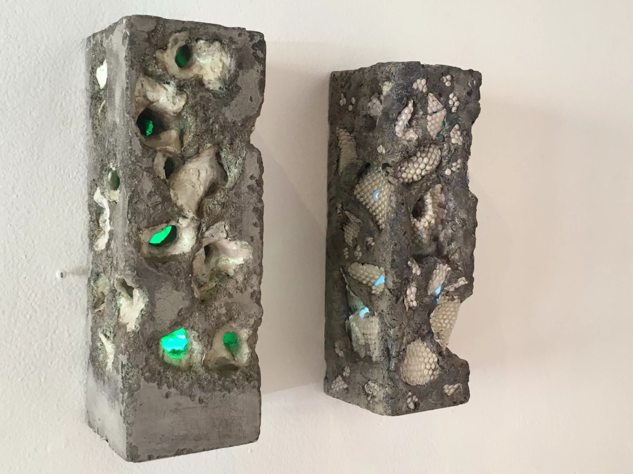 Don’t Miss These Art Shows on January’s First Friday