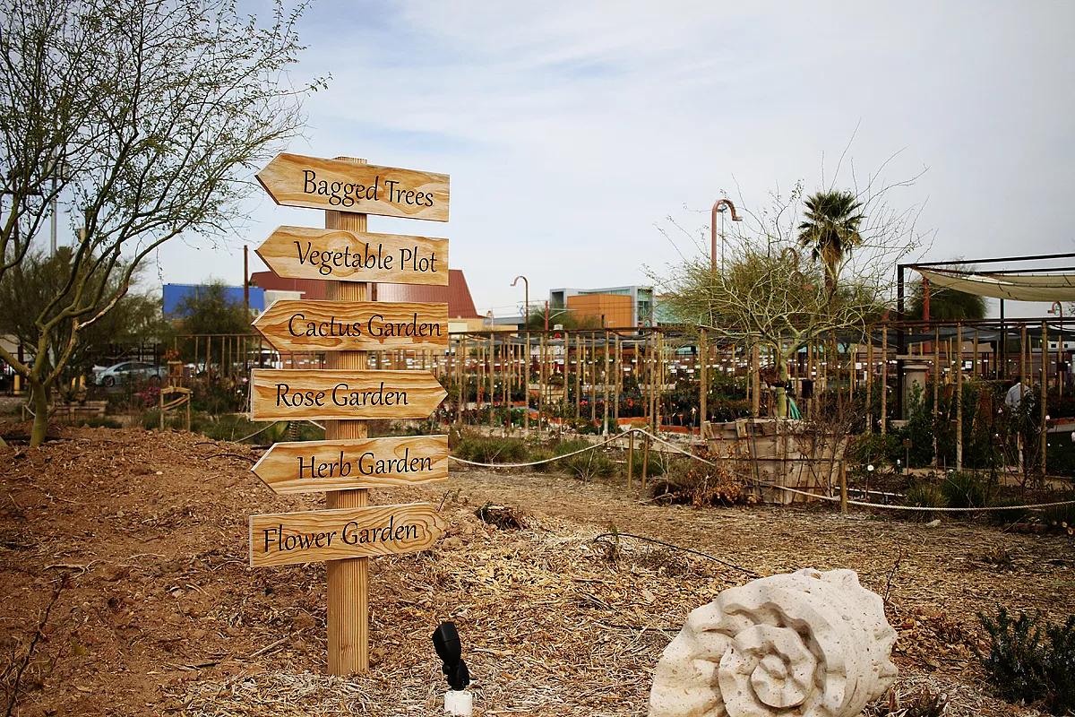 How Agave Farms Turned Central Phoenix into Fertile Ground