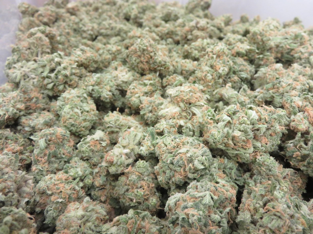 What Were They Smoking? Safer Arizona Leaders Admit 2018 Pot Initiative Flawed