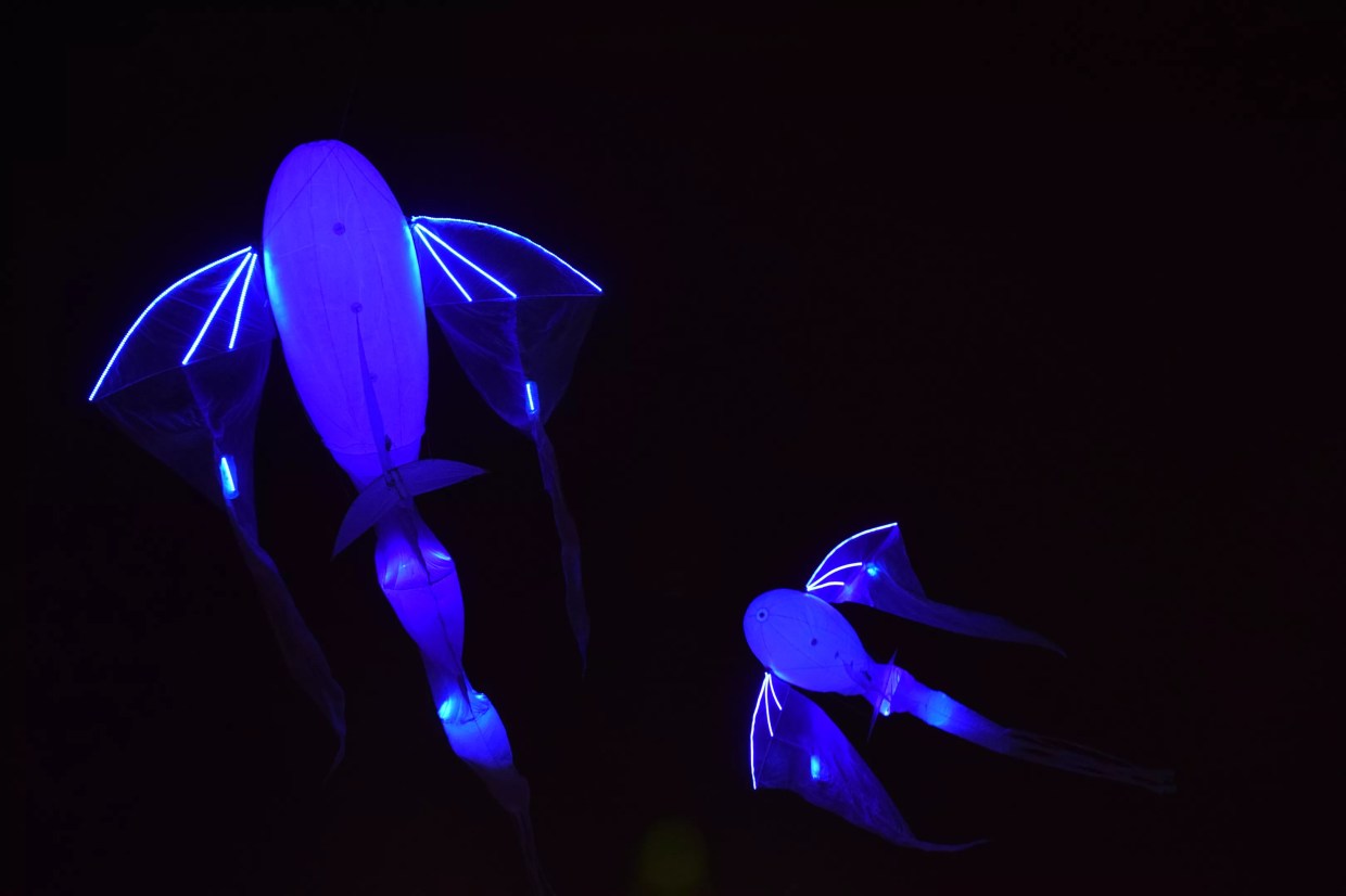 Here’s the Best Art We Saw in Metro Phoenix During February 2017