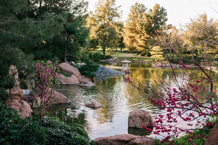 The Best Things to Do in Phoenix This Weekend
