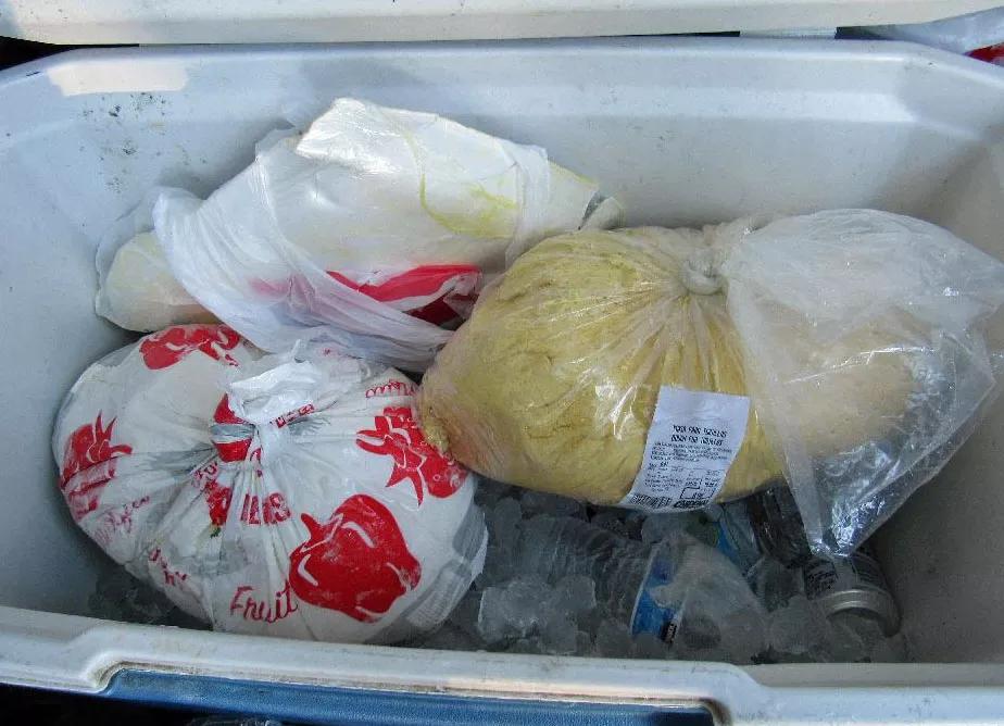 Border Patrol Finds Over $40,000 In Cash Hidden In Tortilla Dough