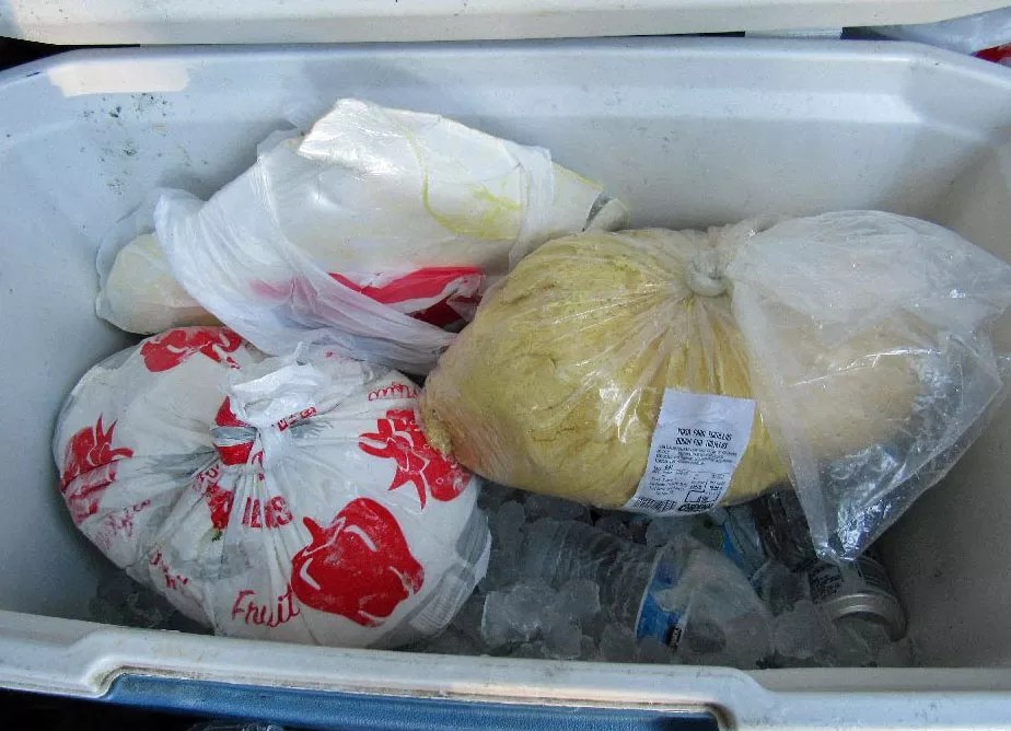 Border Patrol Finds Over $40,000 In Cash Hidden In Tortilla Dough