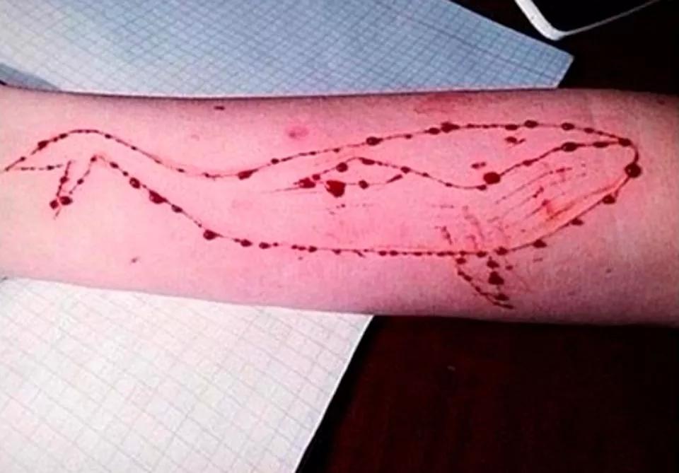 Bill Montgomery Jumps on Blue Whale Tale, Warns Parents of Unproven Suicide Game