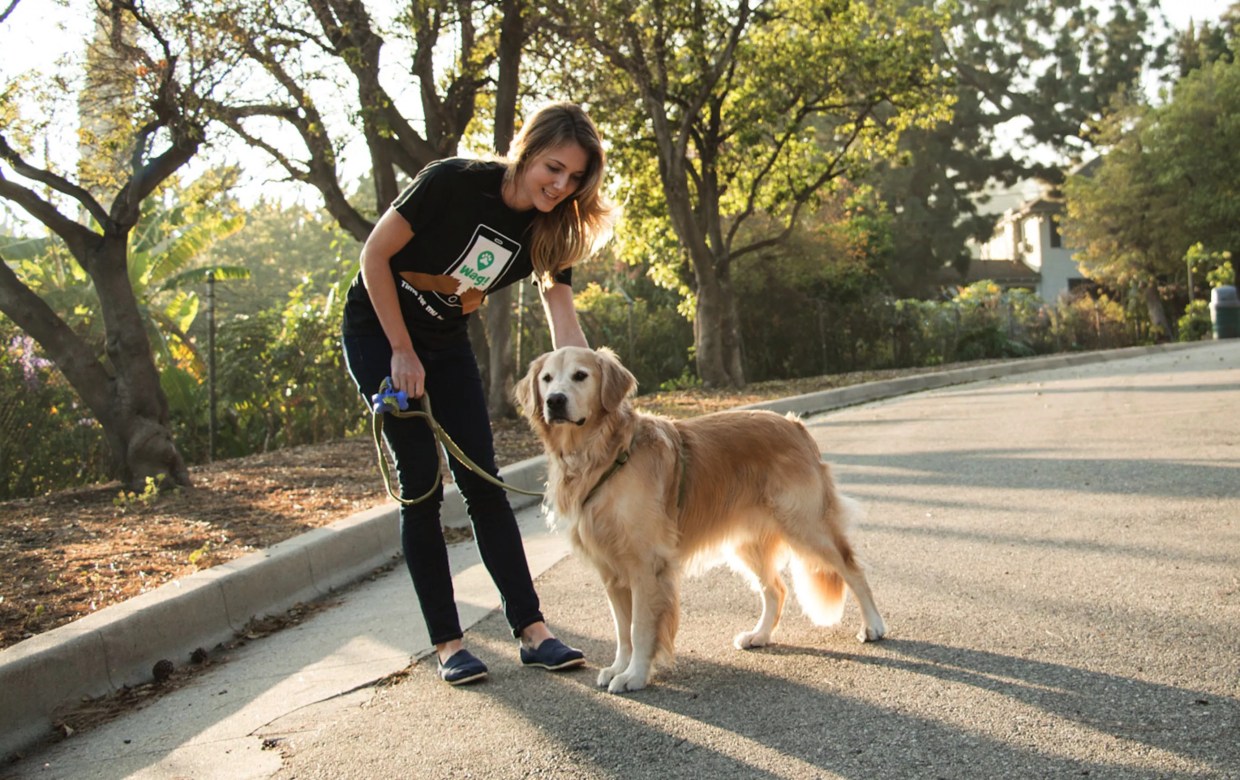 We Tried a New Uber-Style Dog Walking Service. Here’s What Happened