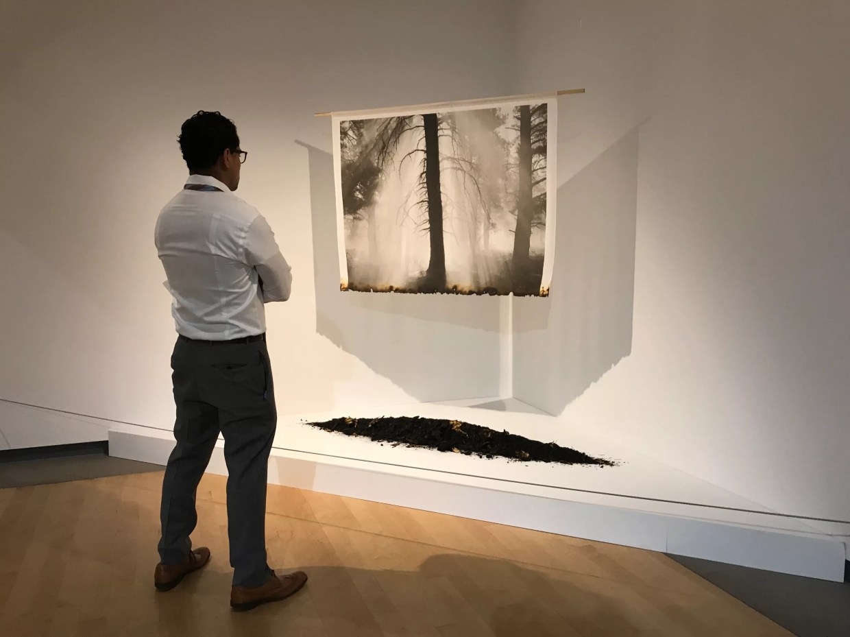 These Four Valley Arts Institutions Won Flinn Foundation Awards