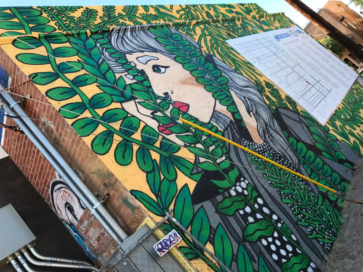 Things Didn’t End Well for Roosevelt Row in <i>Phoenix v. Arizona</i>