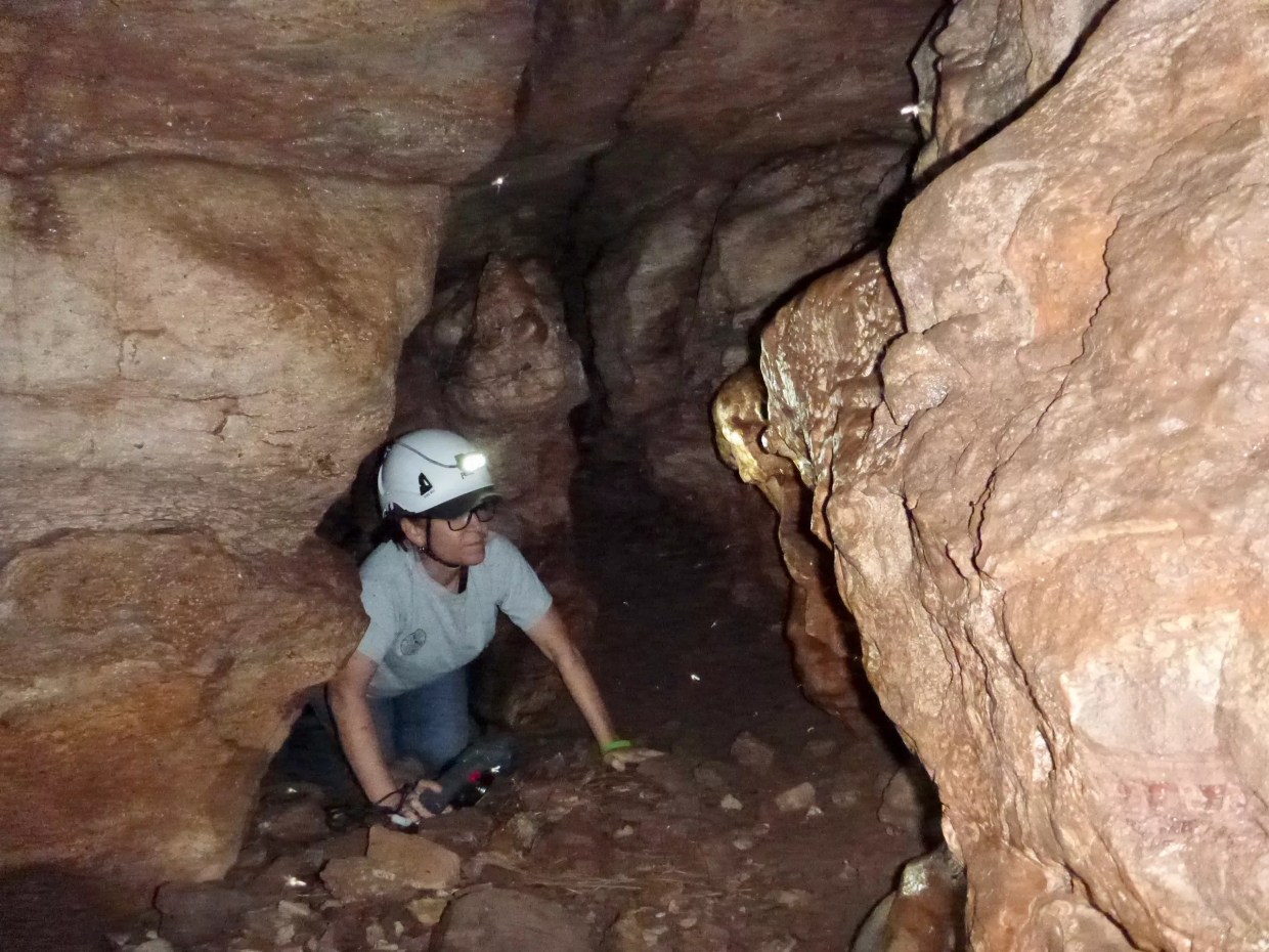 Bat Specialist Angie McIntire Can’t Do Without These Essentials