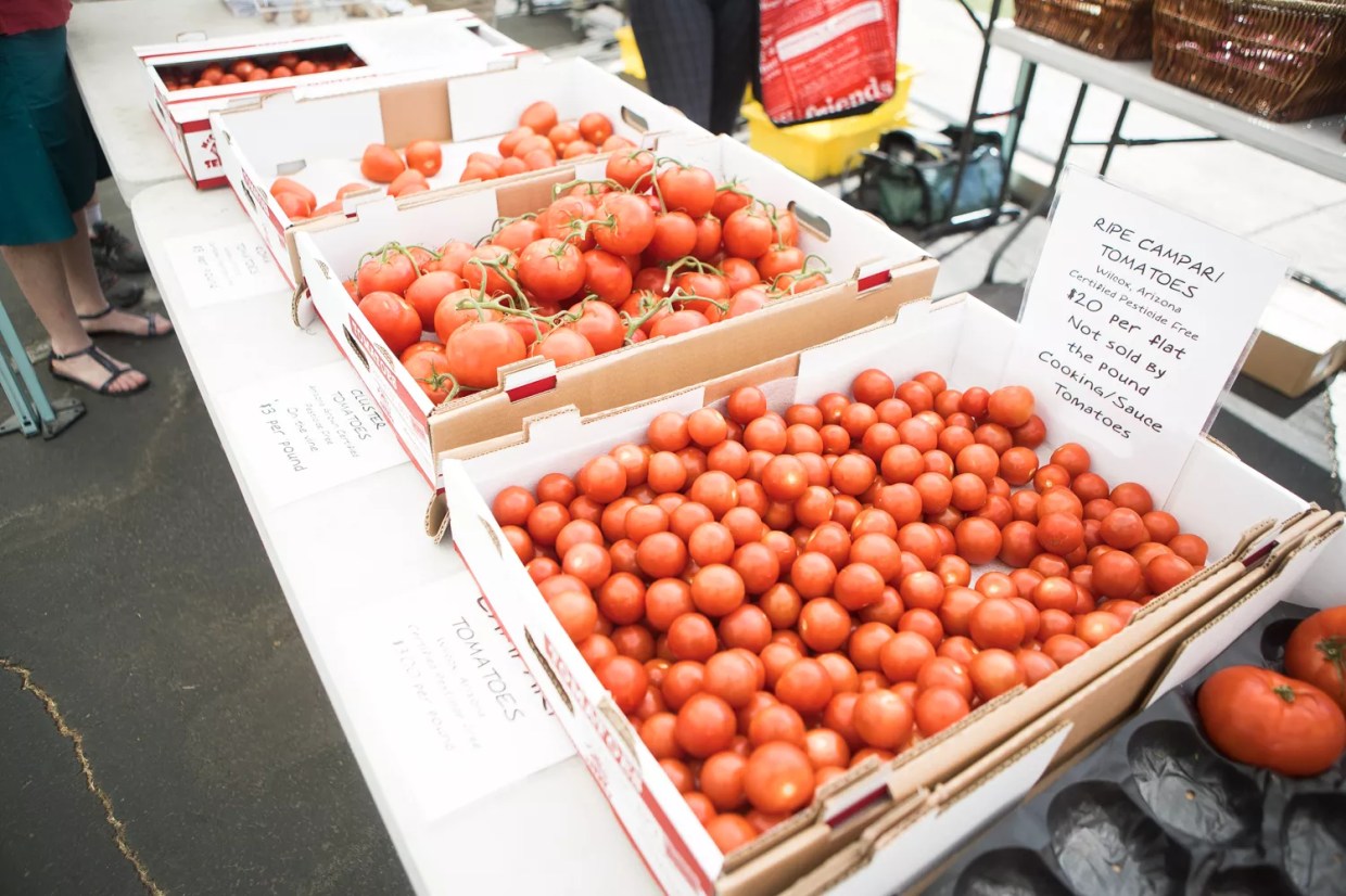 Fill Your Weekend with Food and Drinks at These Metro Phoenix Events