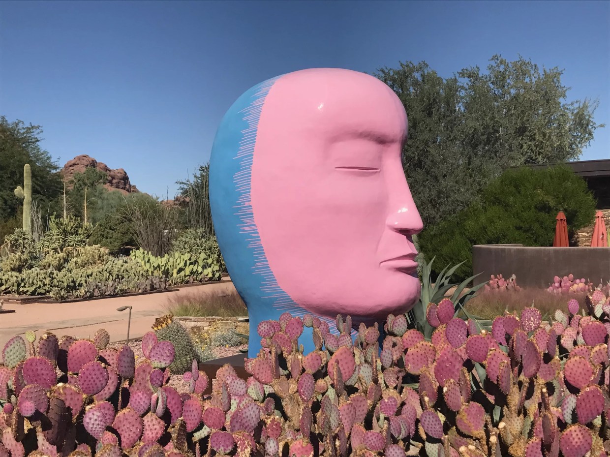 Here’s the Best Art We Saw in Metro Phoenix During October 2017