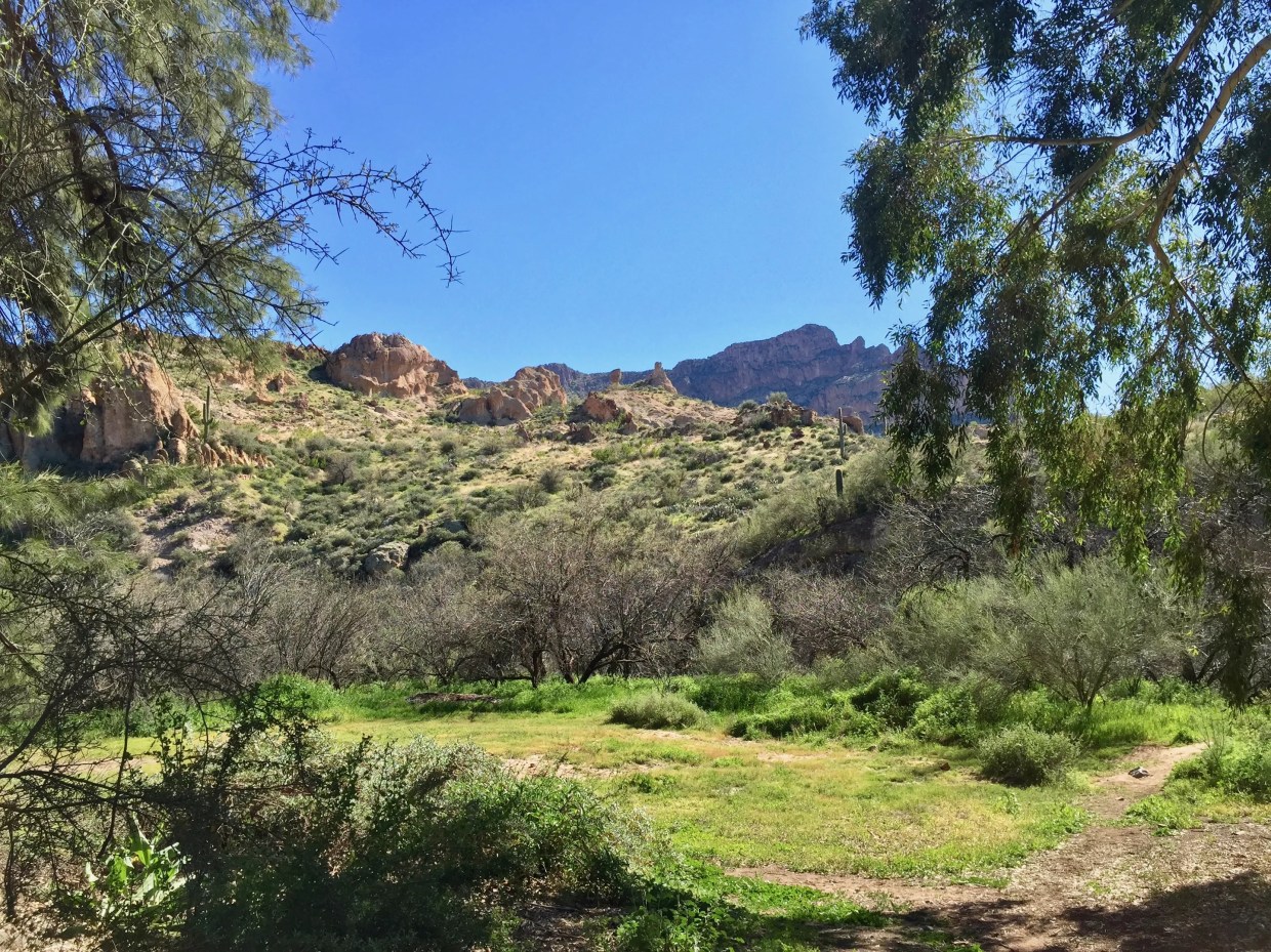 Best of Phoenix 2018: Things to Do and See Outdoors